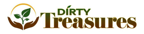 Dirty Treasures logo